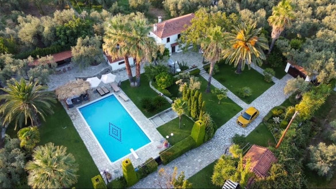 Villa Olive Ano Lekhonia Exterior photo
